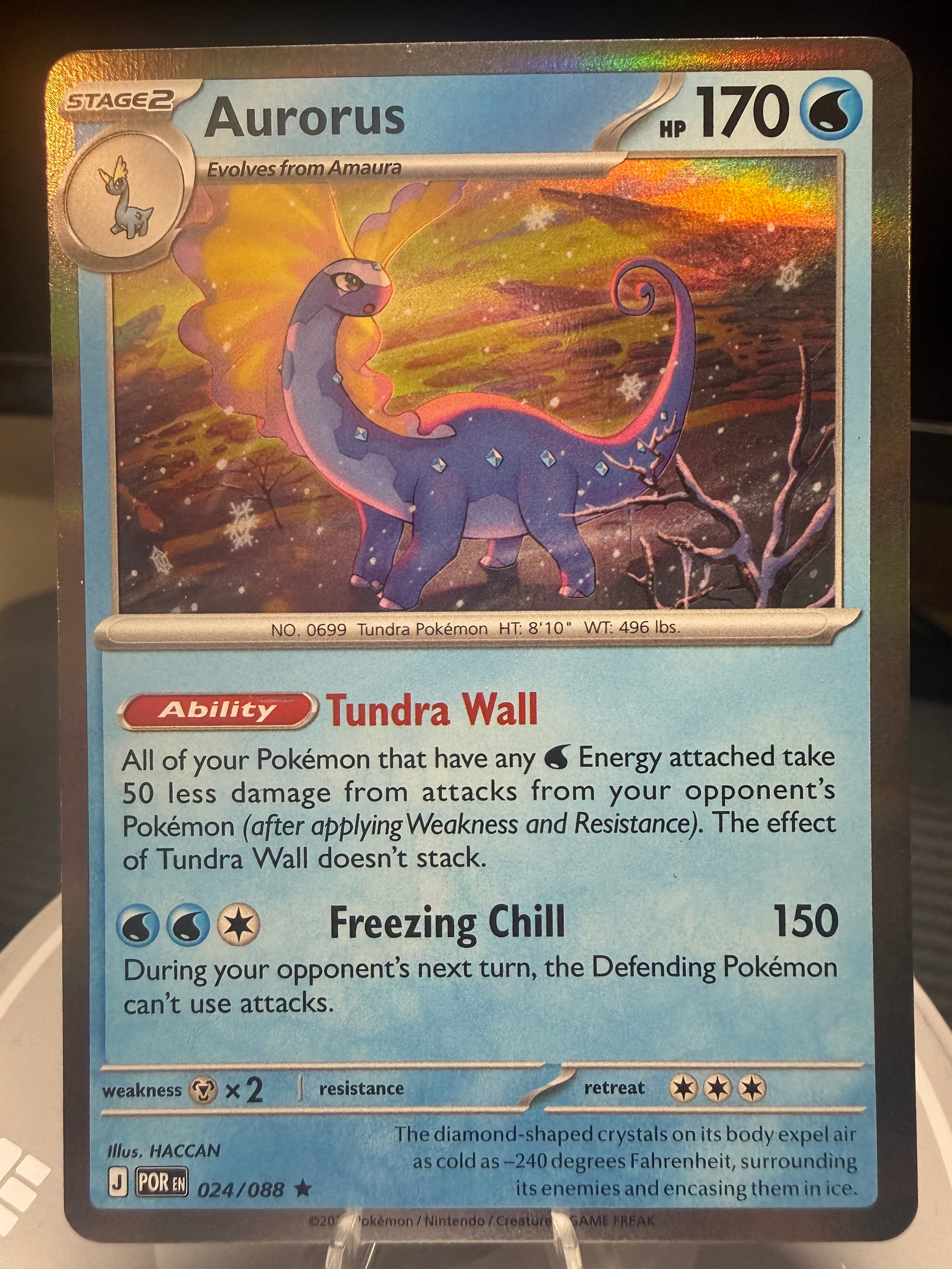 Aurorus - 024/088 - Holo Rare - Perfect Order