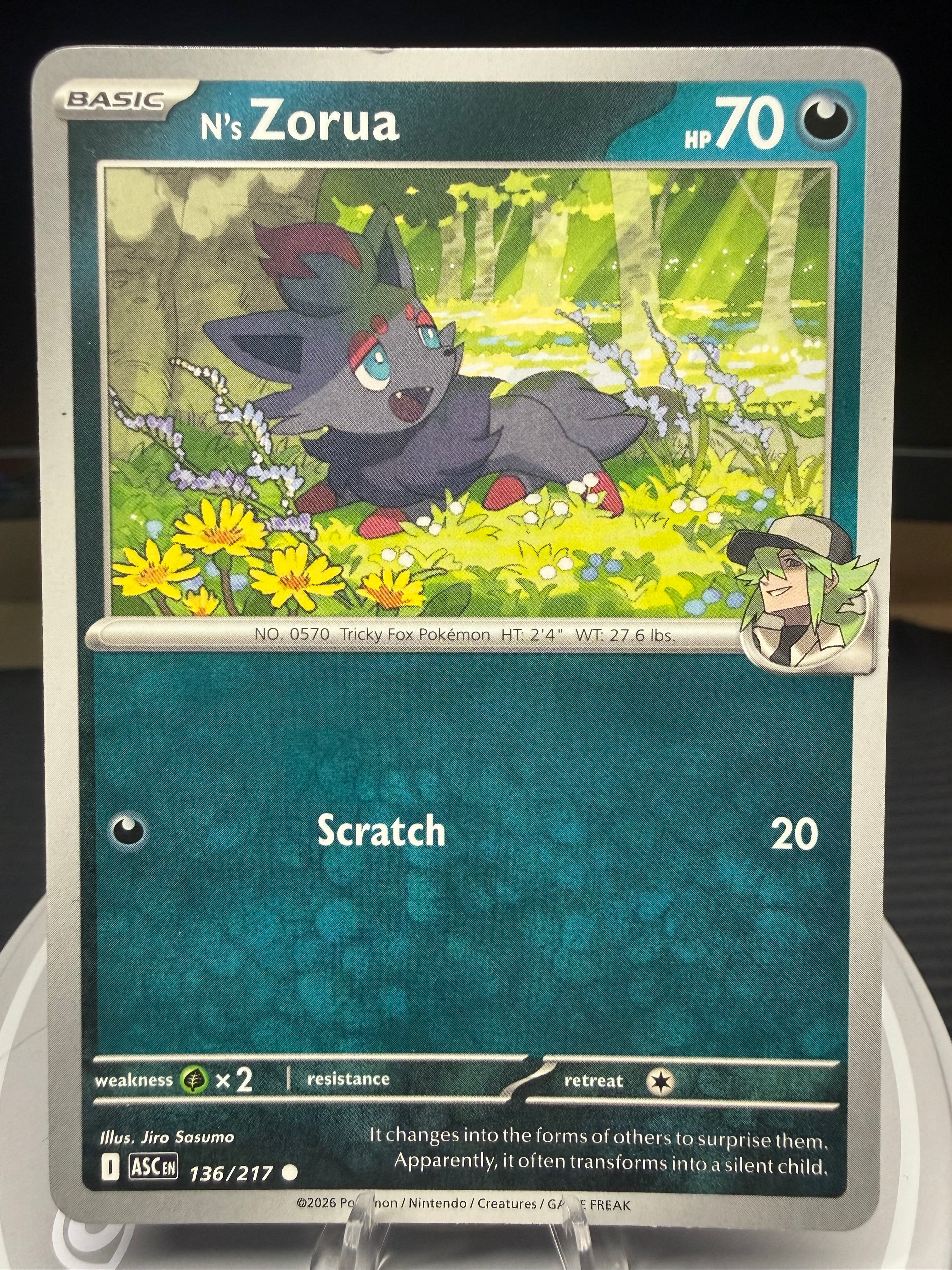 N's Zorua 136/217 Common Ascended Heroes