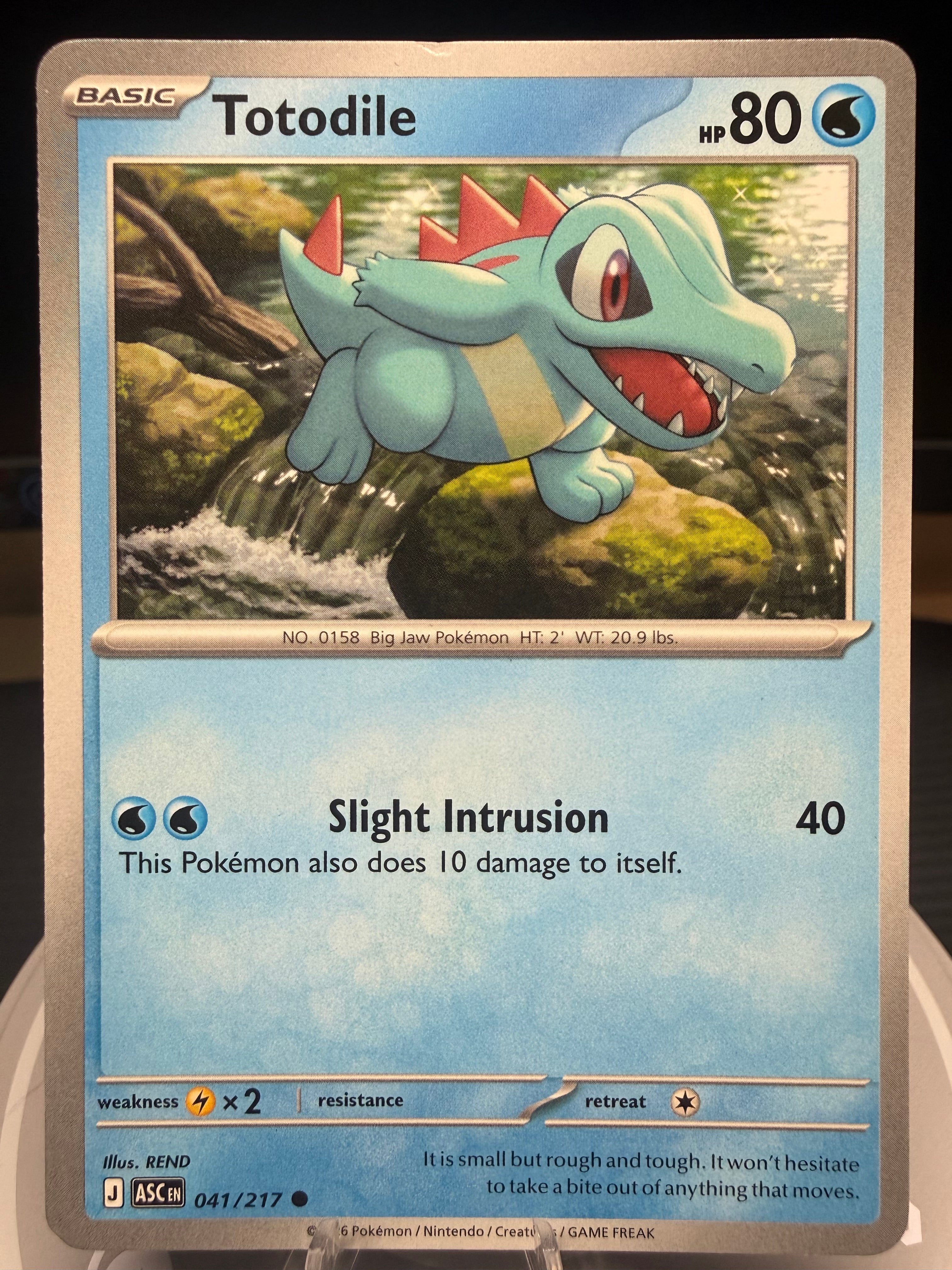 Totodile - 41 / 217 - Ascended Heroes