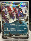 Absol ex 0807/07 - Chinese Gem Pack Volume 3