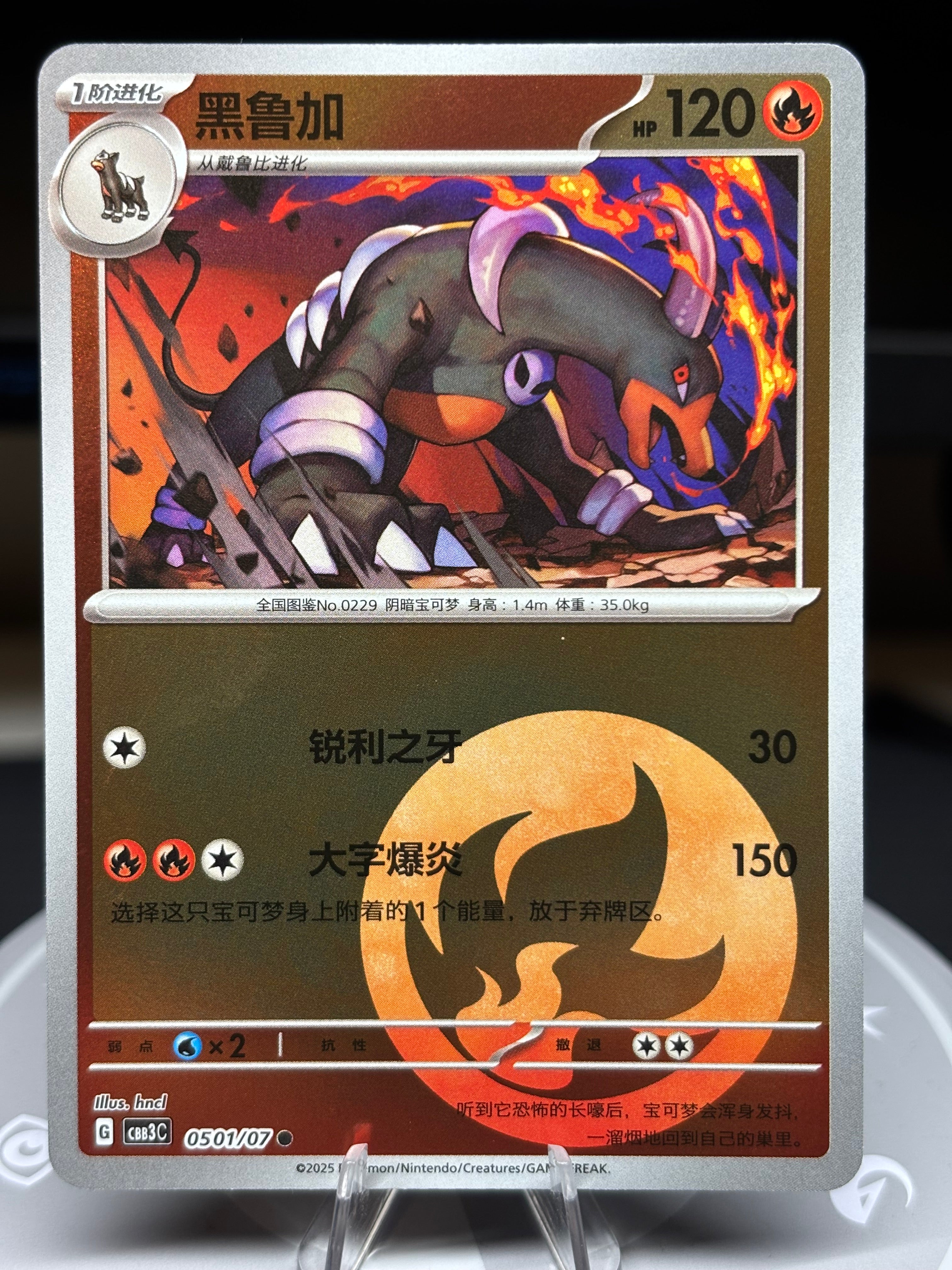 Houndoom 0501/07 - Chinese Gem Pack Volume 3