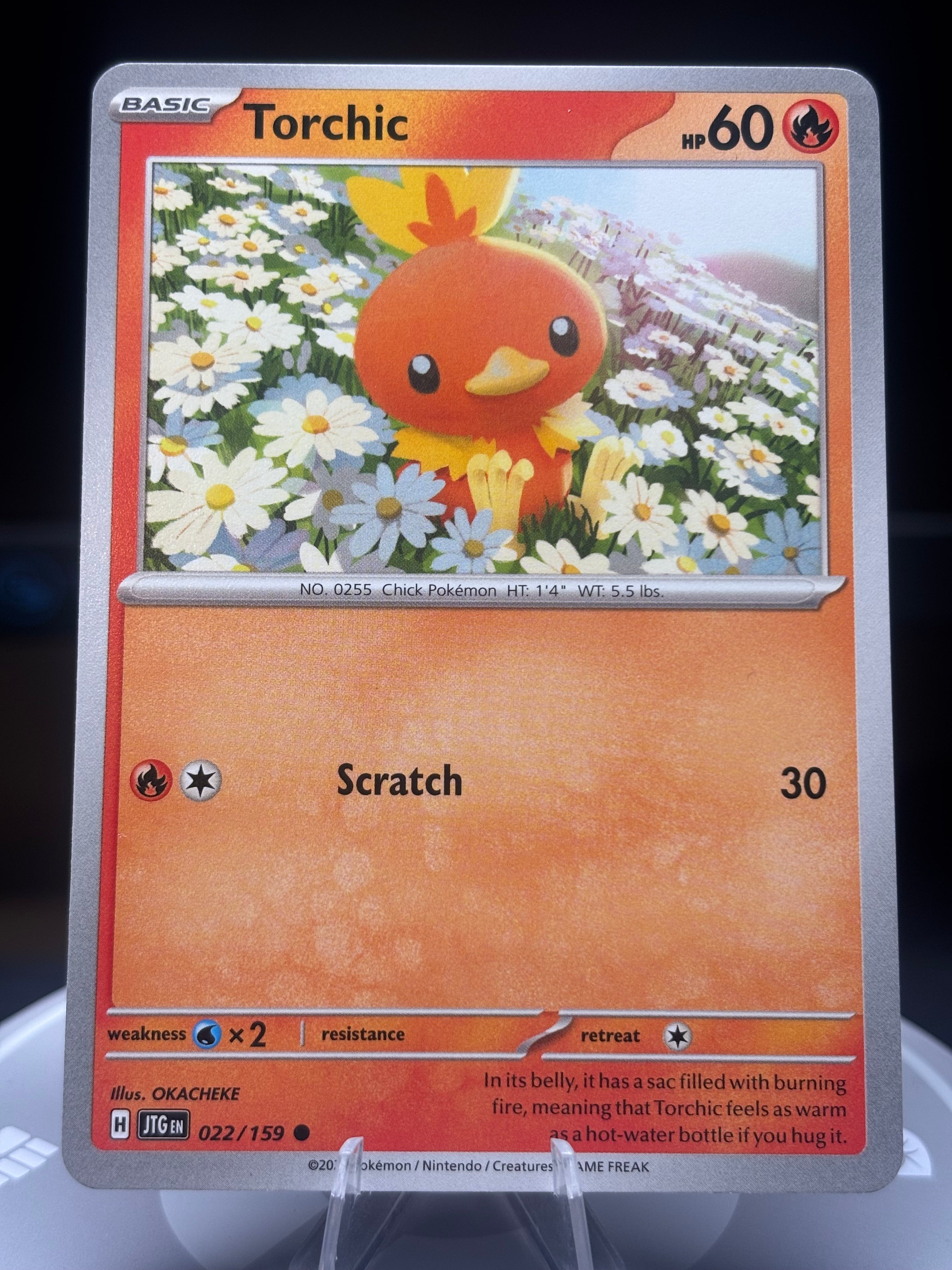 Torchic 022/159 Journey Together