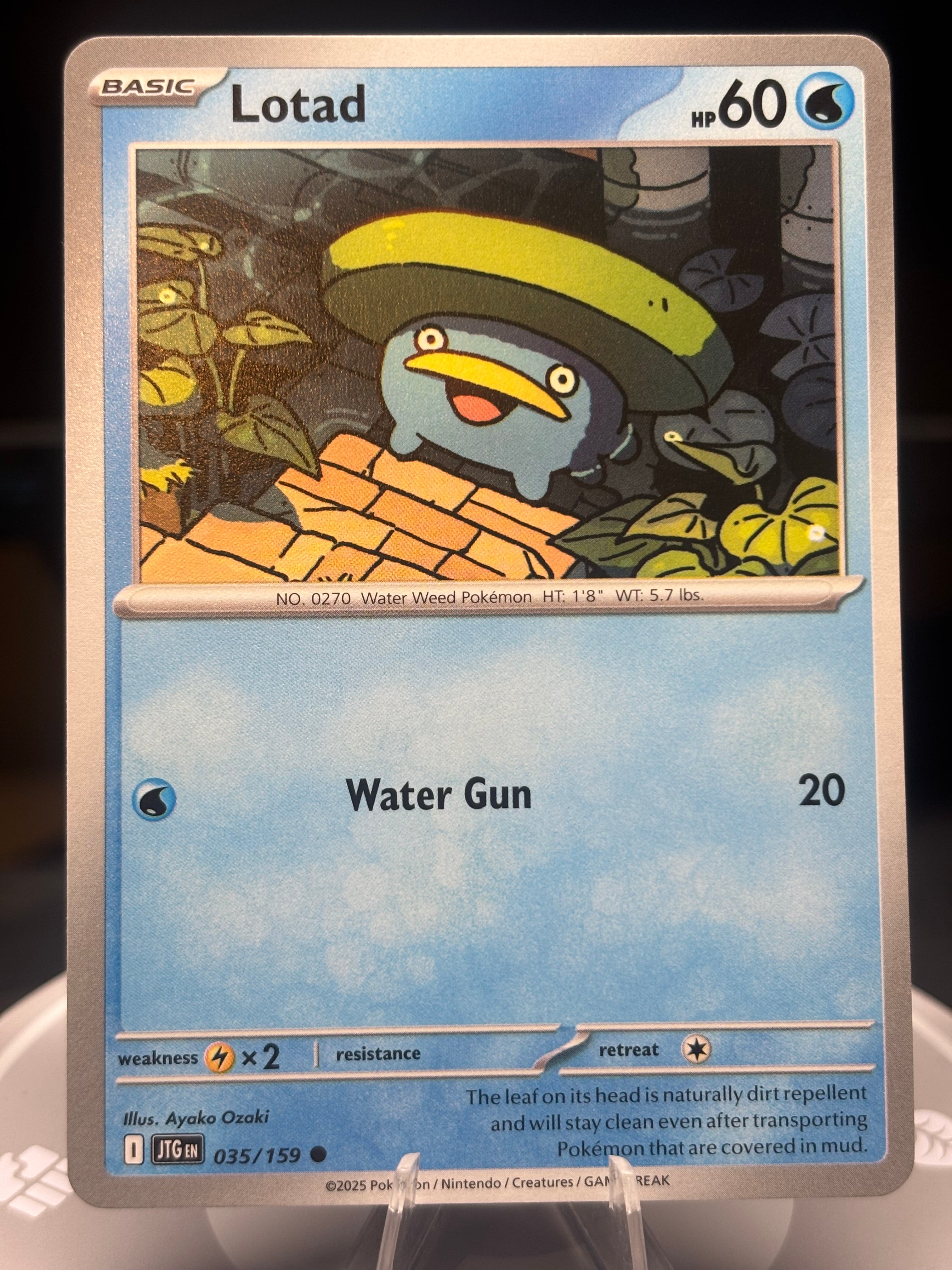 Lotad - 035/159 Journey Together