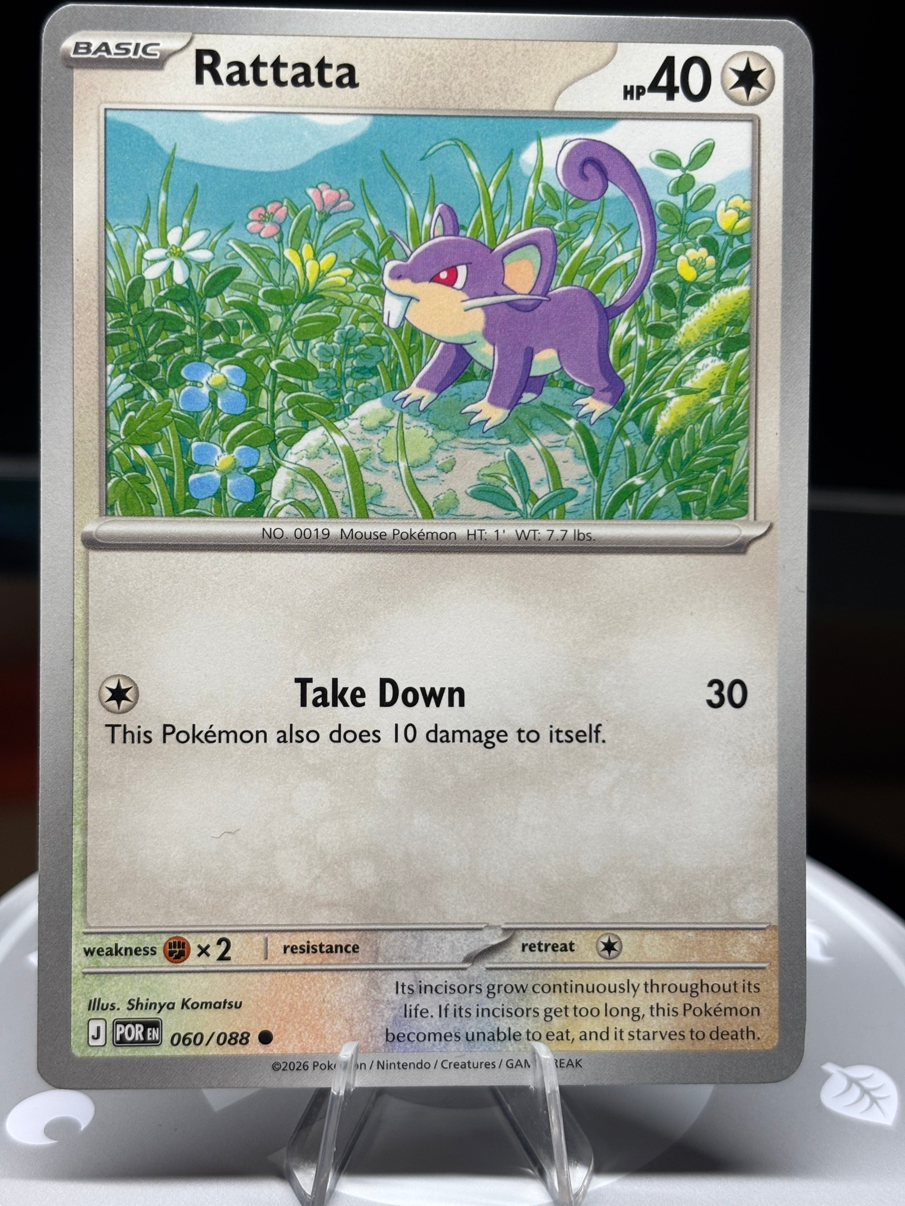 Rattata 060/088 Perfect Order