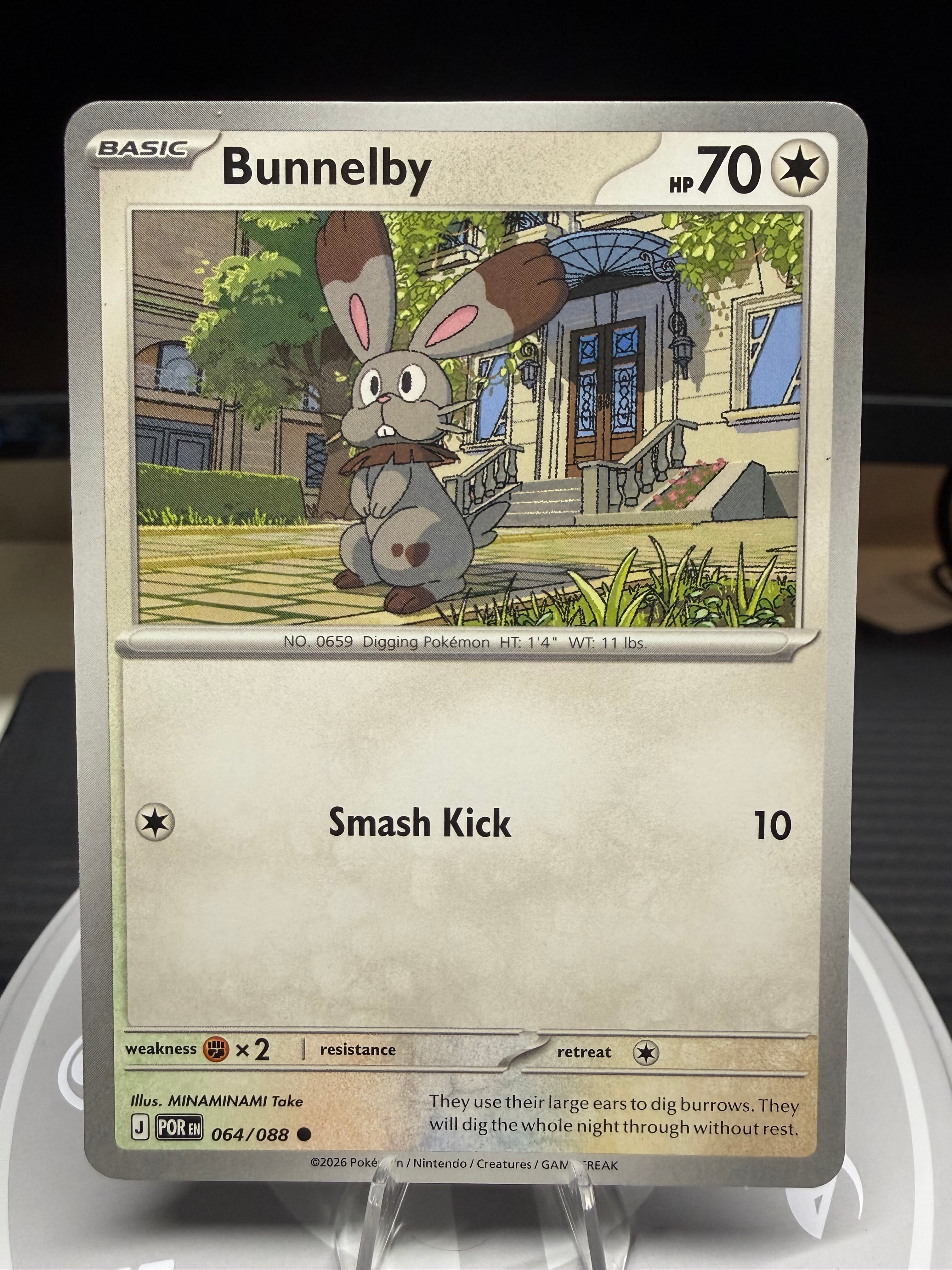 Bunnelby - Perfect Order - 064/088