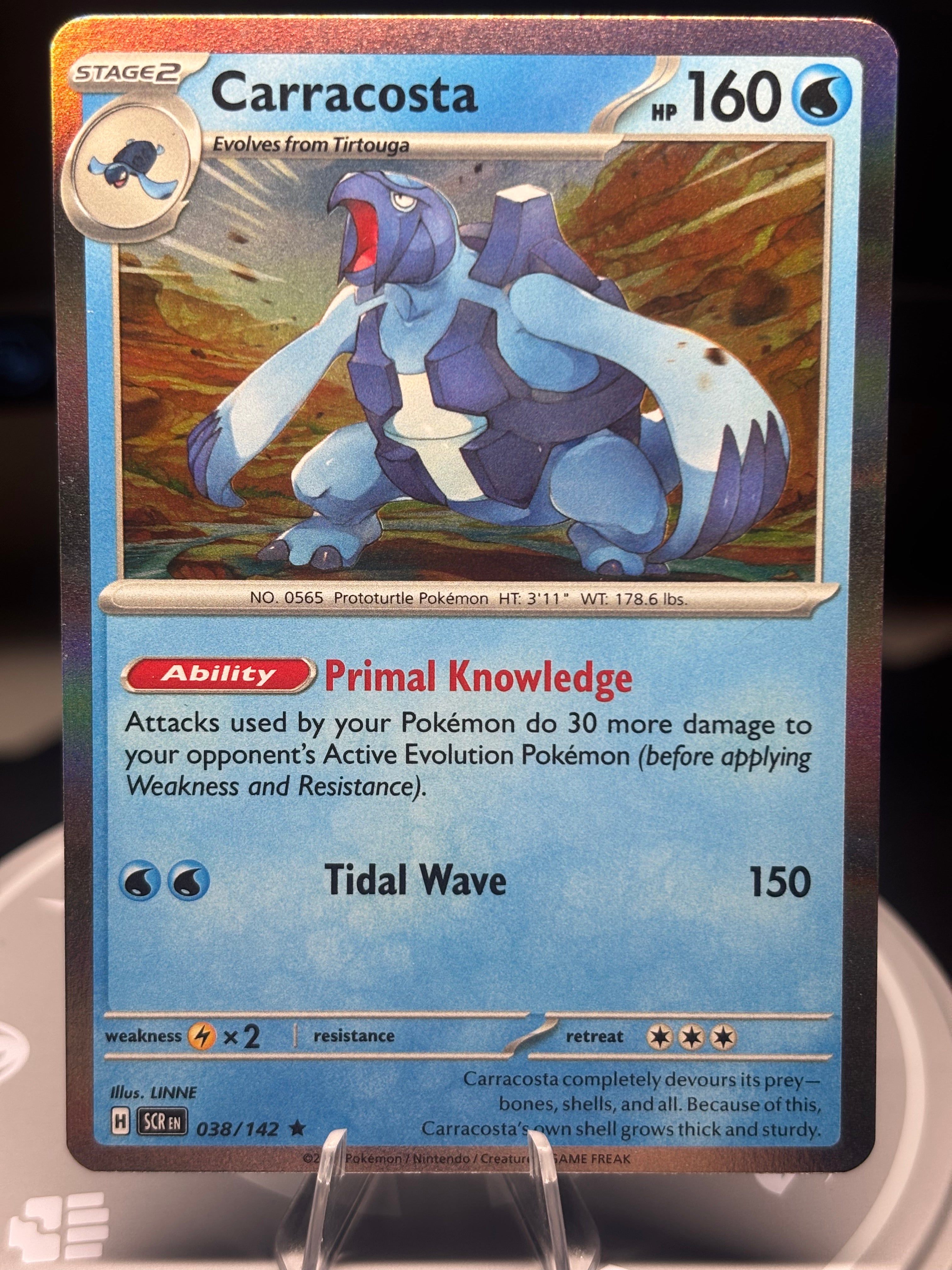 Carracosta 038/142 - Holo - Stellar Crown