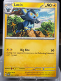 Luxio - 067/167 - Twilight Masquerade
