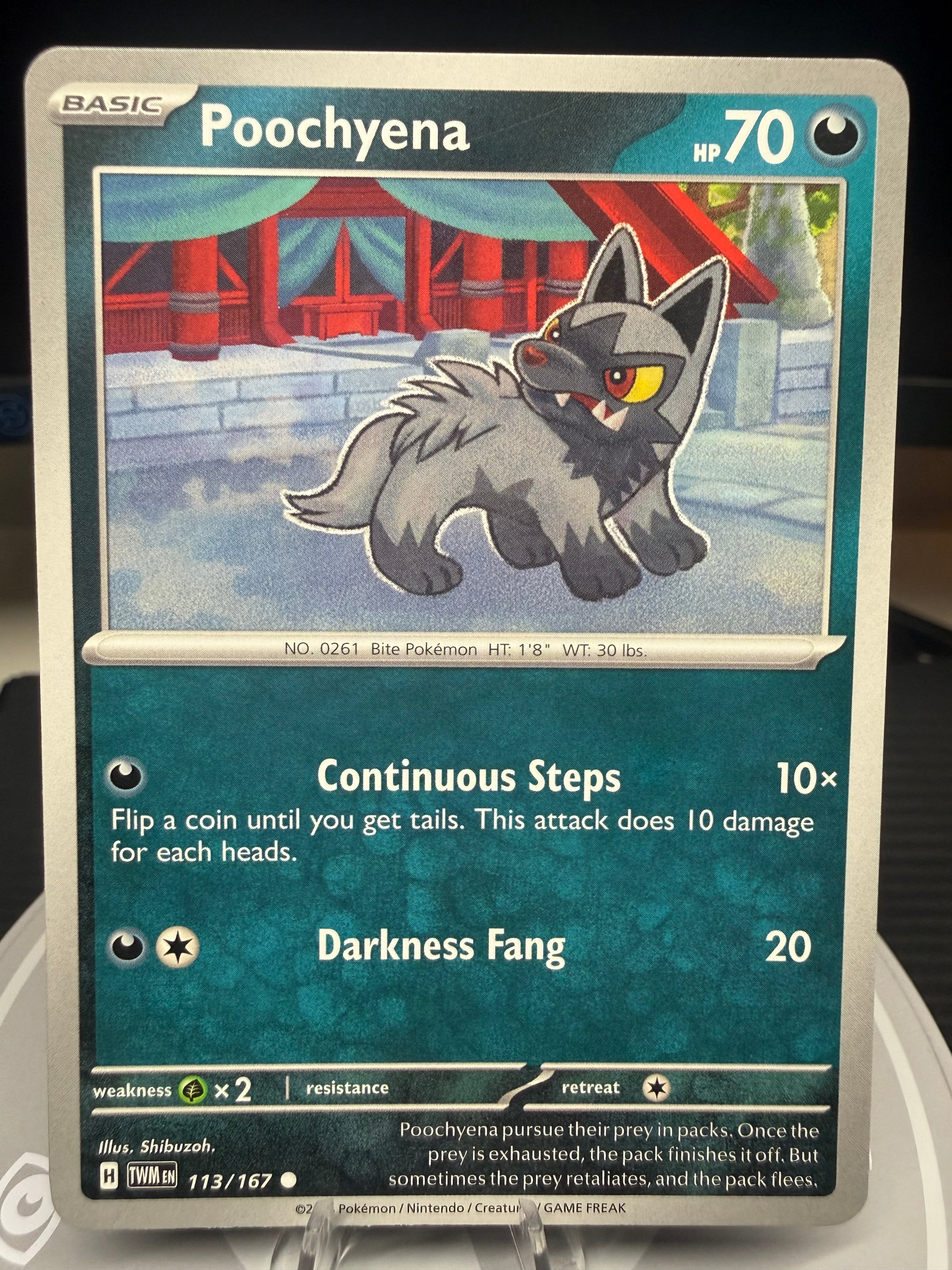 Poochyena - 113/167 - Twilight Masquerade